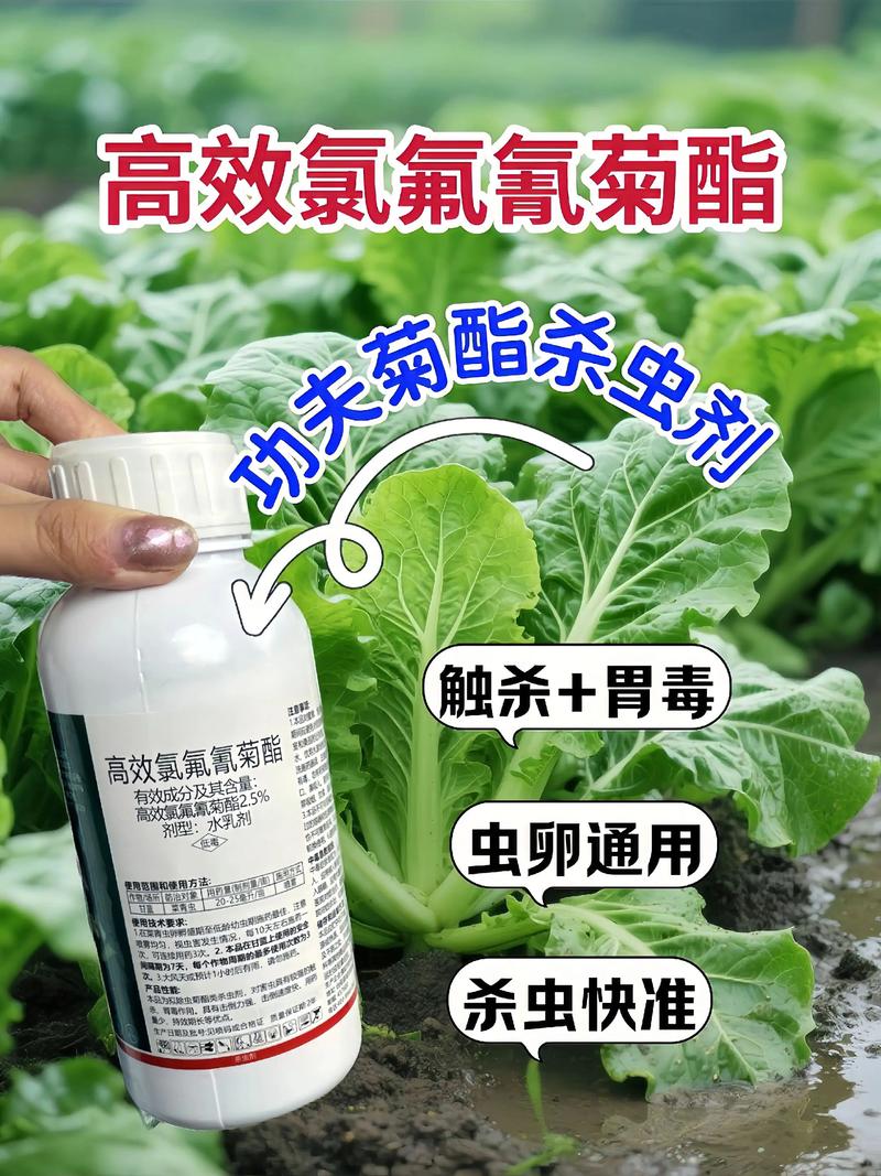 兰州代生中心:农药对供卵代生妈妈的危害